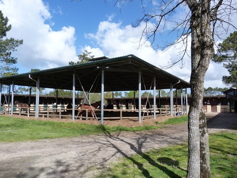 centre équestre du cardin hourtin